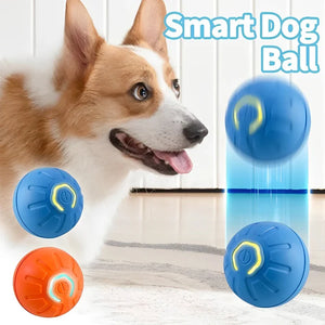 Pet Toy Product