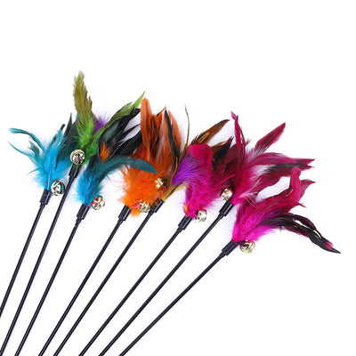 5pcs cat teaser wand set with colorful feathers and bells for kitten play. cat feather wand