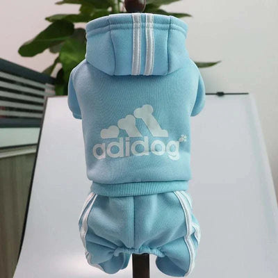 Small dog wearing light blue Adidog fleece hoodie jumpsuit.