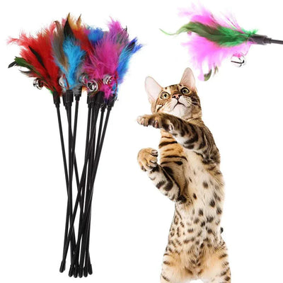 5pcs Cat Teaser Wand Set with Bell & Feather, Interactive Toys for Kittens cat feather wand