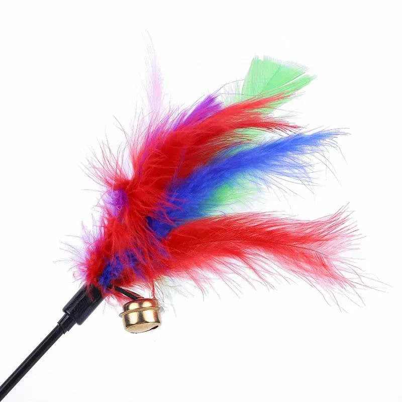 Cat teaser wand with red and blue feathers and bell, interactive toy for kittens. cat feather wand