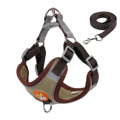 No-Pull Dog Harness and Leash Set, Adjustable Reflective Nylon Vest for Small Dogs and Cats, Breakaway and Quick Release.