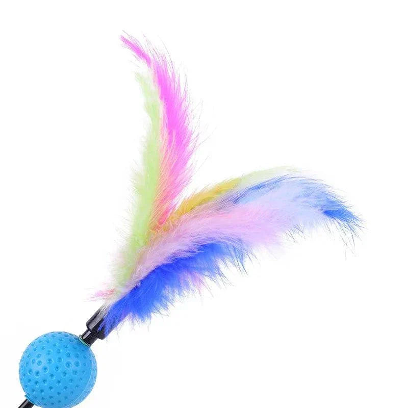 Colorful feather and bell cat teaser wand from 5pcs set for interactive kitten play. cat feather wand