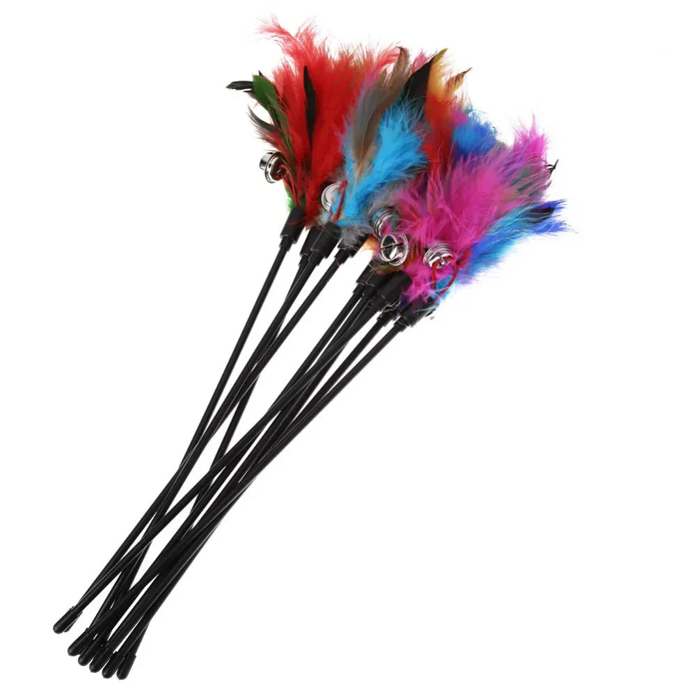 5pcs cat teaser wand set with bell and colorful feathers for kittens. cat feather wand