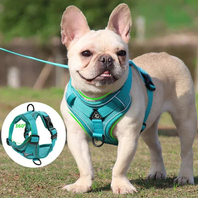 No-pull dog harness and leash set, adjustable reflective mesh vest for small dogs and cats.