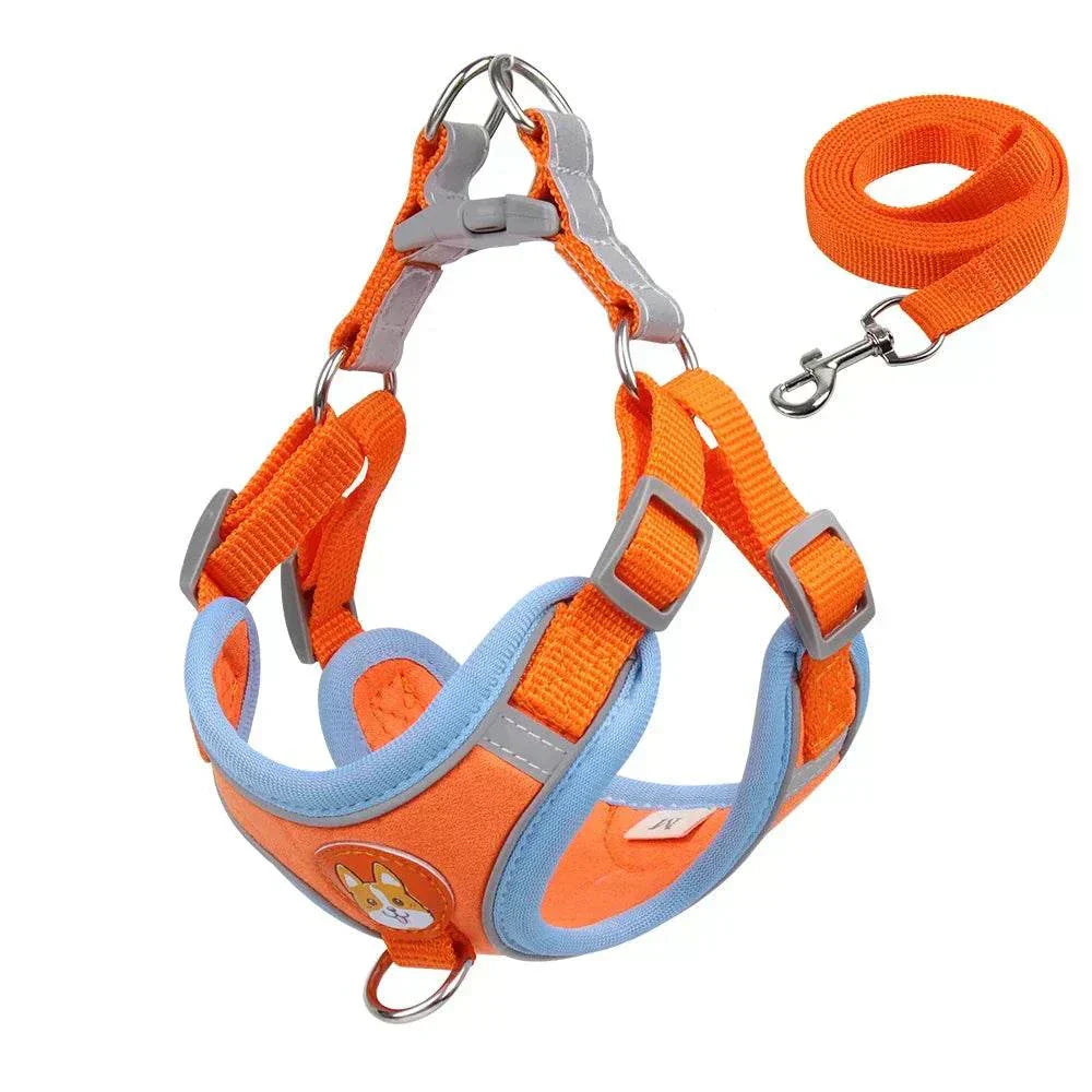 No-pull dog harness and leash set in orange and blue, adjustable reflective vest for small pets.