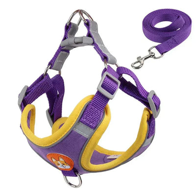 No-pull dog harness and leash set, adjustable reflective vest for small dogs and cats, purple and yellow design.