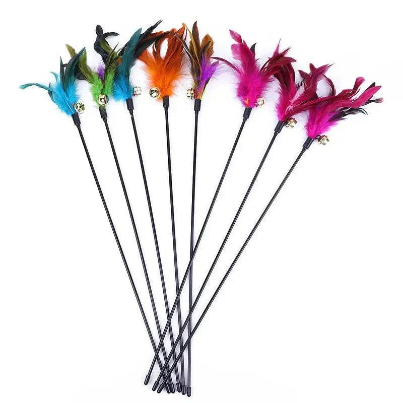 5pcs cat teaser wand set with colorful feathers and bells, interactive toys for kittens.  cat feather wand