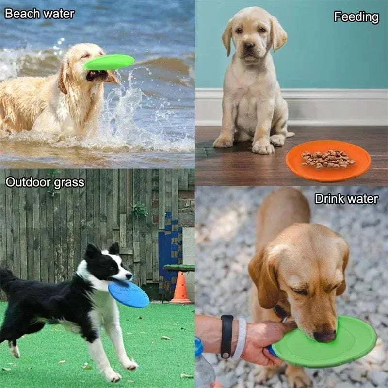 Multicolor Silicone Frisbee Dog Toy for interactive play and exercise, suitable for various outdoor and indoor activities.