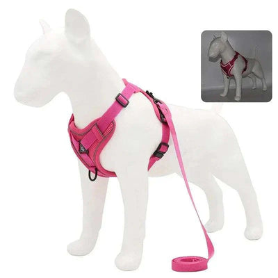 No-Pull Dog Harness & Leash Set, Adjustable Reflective Mesh Vest for Small Pets.