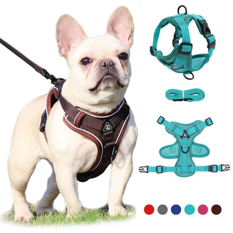 No-pull dog harness and leash set with adjustable reflective mesh vest for small dogs and cats.