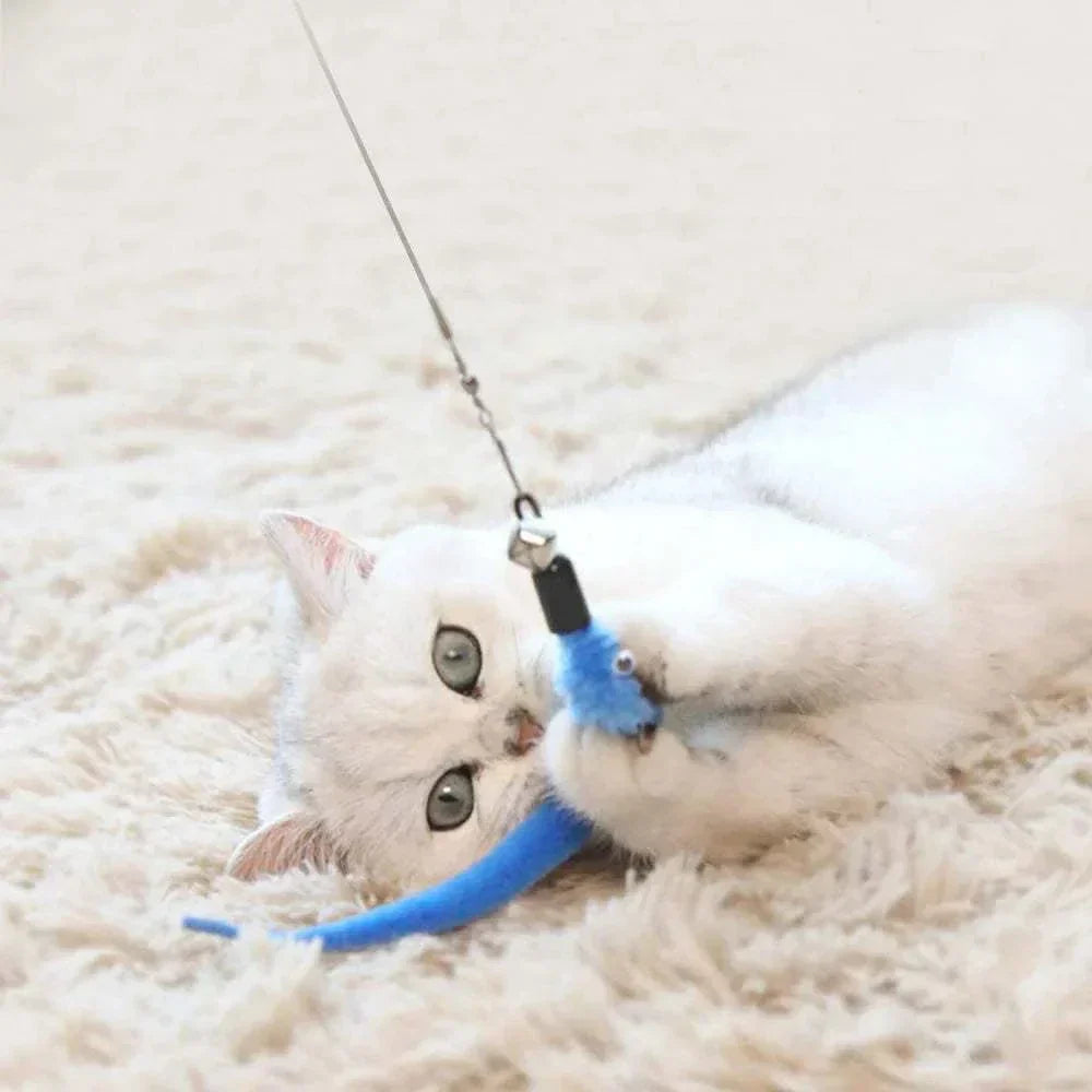 Plush cat playing with blue worm toy attachment for cat stick.