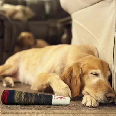 Interactive squeaky dog toy in green, orange, and white colors lying beside a sleeping dog. giant dog cigarette toy