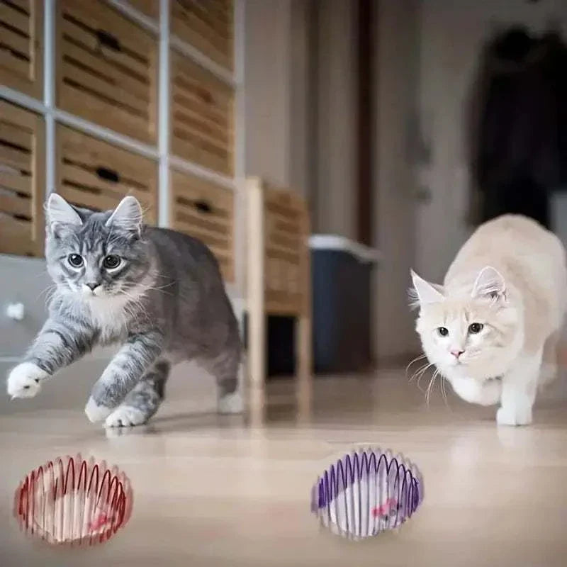 Interactive cat toy balls with stretchable springs on wooden floor with two cats.