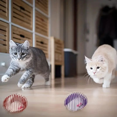 Cats playing with interactive toy balls featuring stretchable springs, ideal for engaging pet activities.