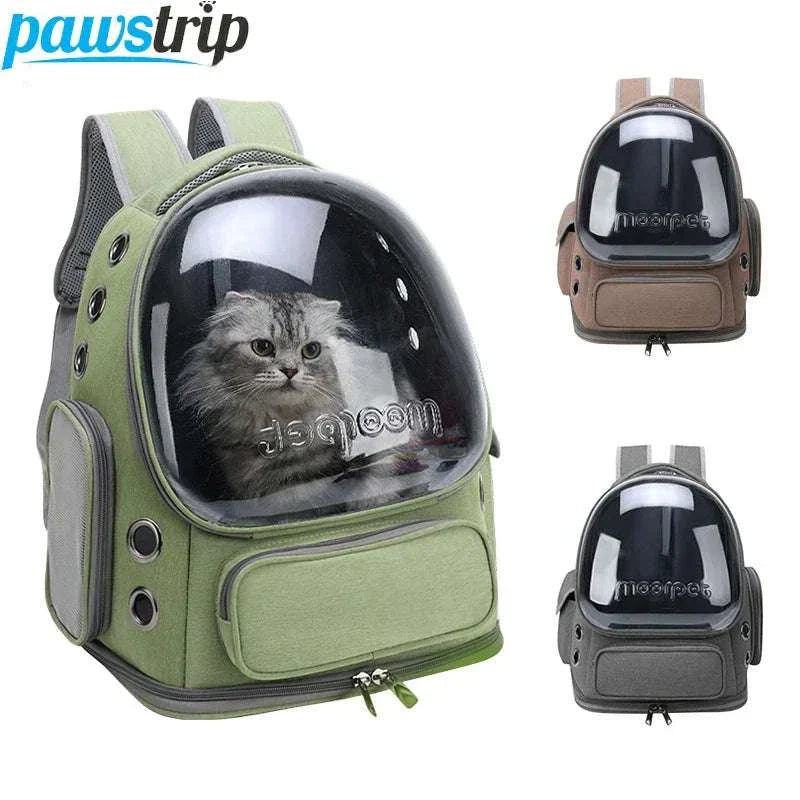 Transparent pet cat carrier backpack with breathable design for outdoor travel, suitable for cats and small dogs.