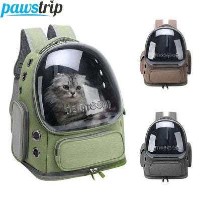 Transparent pet cat carrier backpack with breathable design for outdoor travel, suitable for cats and small dogs.