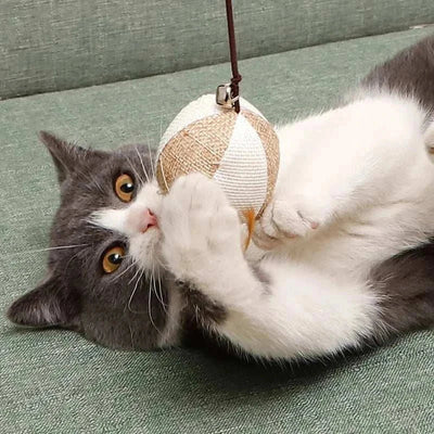 Cat playing with a colorful feather wand toy with wooden rod.