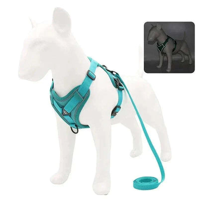 No-pull dog harness and leash set with adjustable reflective mesh vest for small dogs and cats.