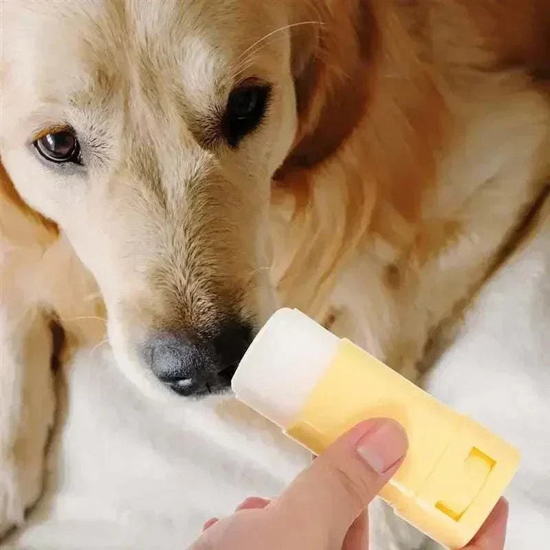 Pet paw balm for dogs and cats being applied, winter moisturizer. Moisturizer Paw Balm for Pet Care