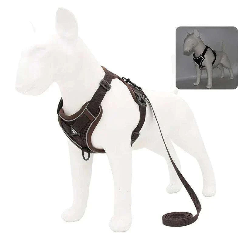 Adjustable no-pull dog harness and leash set with reflective mesh vest for small dogs and cats.