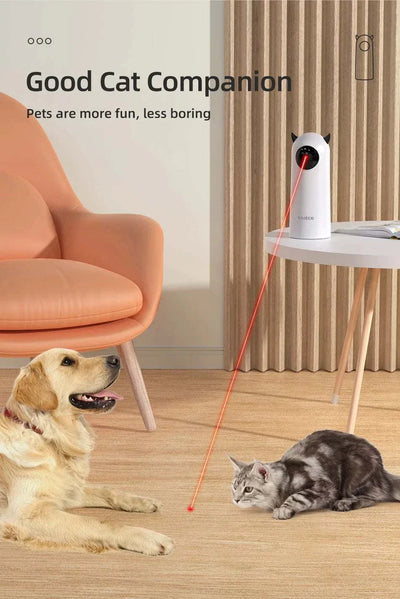 ROJECO Automatic LED Laser Toy for Cats and Dogs with smart features, entertaining pets in a modern living room setting. cat laser pointer