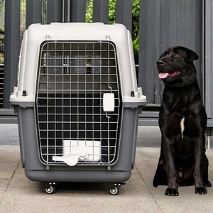 Airline-friendly 33-inch durable plastic pet carrier for large dogs with breathable design.