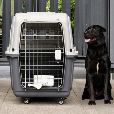 Airline-friendly 33-inch durable plastic pet carrier for large dogs with breathable design.