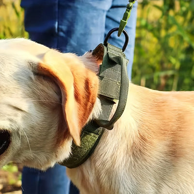 Adjustable Dog collar