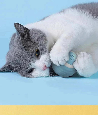 Cat playing with an Automatic Rolling Smart Interactive Cat Ball on a blue surface.