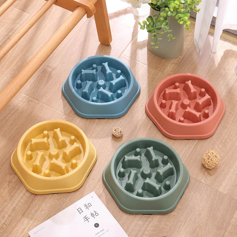 Slow feeder bowls for small and medium dogs in assorted colors on a wooden floor. cat slow feeder