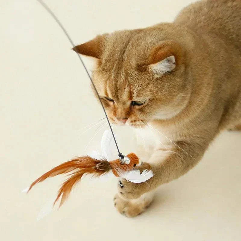 Cat playing with hands-free feather wand toy with bell, featuring suction cup for interactive fun. feather wand cat toy