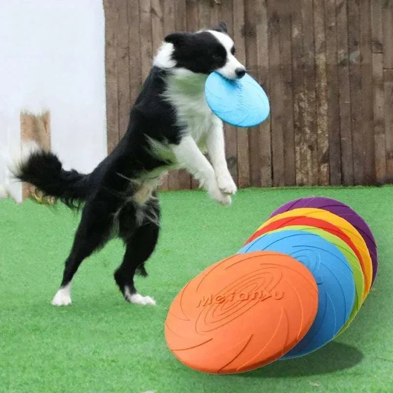 Multicolor silicone frisbee dog toy in use by a playful dog outdoors.