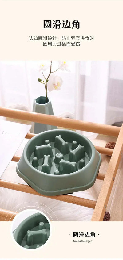 Slow Feeder Bowl for Small and Medium Dogs, plastic bowl with a maze design to prevent fast eating.