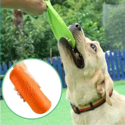 Dog playing with a multicolor silicone frisbee toy.