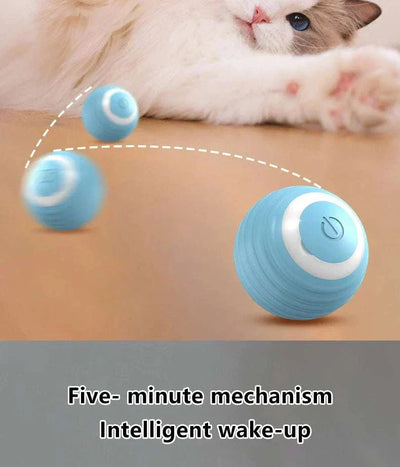 Interactive cat playing with automatic rolling smart cat ball in blue color.