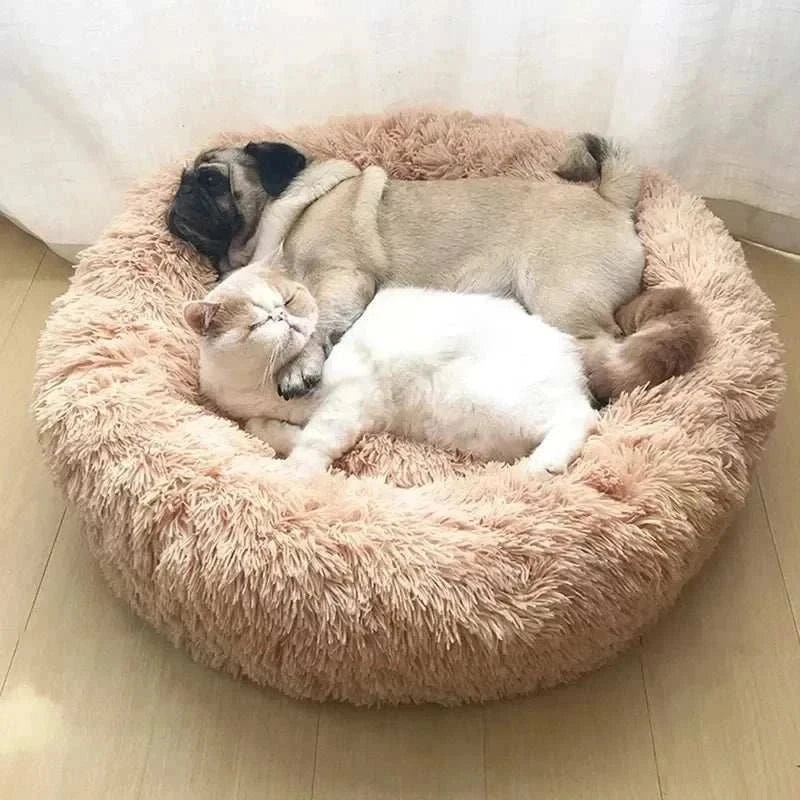 Plush round pet bed for cats and dogs, made of corduroy, in solid pattern, featuring two pets resting comfortably.