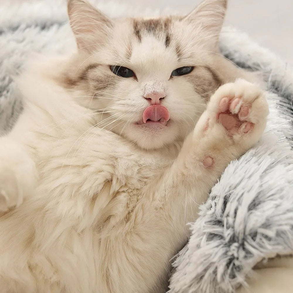 Warm plush round pet bed with fluffy cat lounging comfortably.