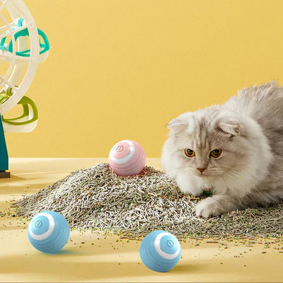 Automatic rolling smart interactive cat ball with silicone material, shown with a cat, available in blue and pink.