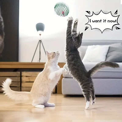 Cats playing with interactive toy balls with stretchable springs.