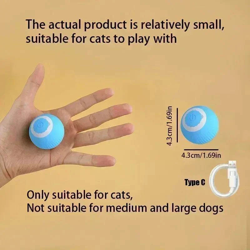 Rechargeable smart rolling ball toy for cats with USB Type-C charger.