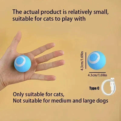 Rechargeable smart rolling ball toy for cats with USB Type-C charger.