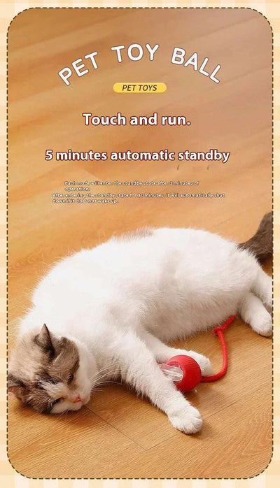 Rechargeable Smart Rolling Ball Toy for Pets with automatic standby feature, shown with a cat interacting.