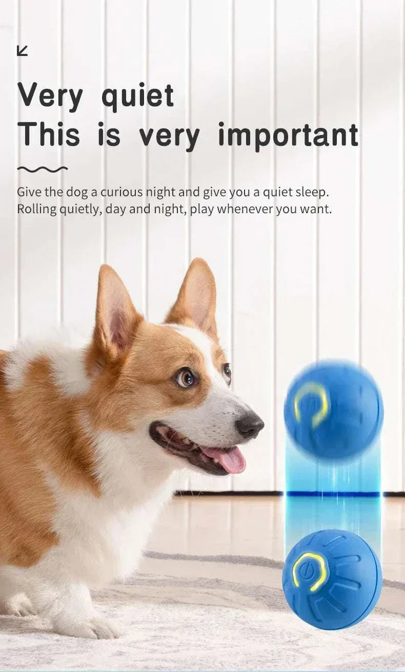 USB Rechargeable Smart Interactive Pet Ball for dogs, featuring a quiet and engaging play experience.