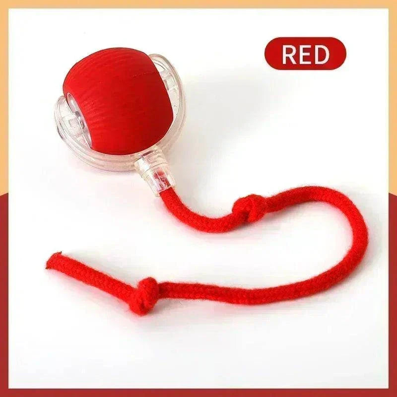 Red rechargeable smart rolling ball toy for pets with long tail.