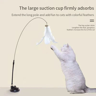 Interactive cat toy with suction cup and feather wand in use by a playful kitten. pet feather toy