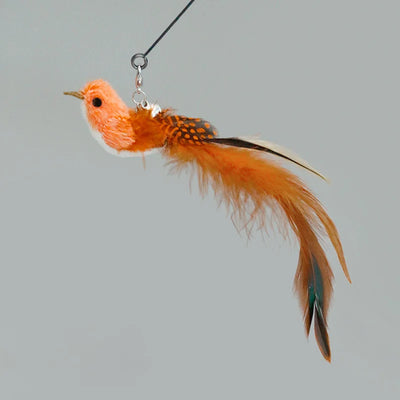 Hands-free feather cat wand with bell and suction cup, interactive kitten toy.