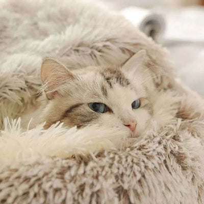 Fluffy cat cozy in warm plush round pet bed, eco-friendly material.