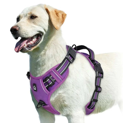 No Pull Dog Harness, Adjustable Soft Padded Pet Vest in purple on Labrador. soft padded dog harness