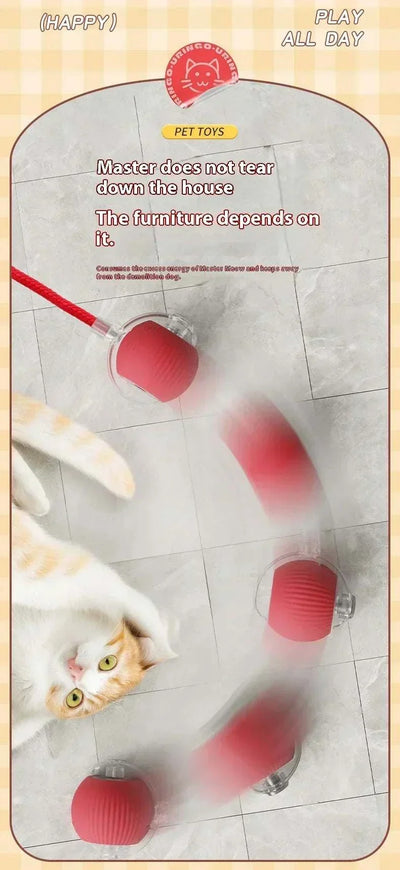 Rechargeable smart rolling ball toy for pets with red plush exterior and cat playing.